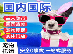 湿地机场快递国际宠物托运 【国